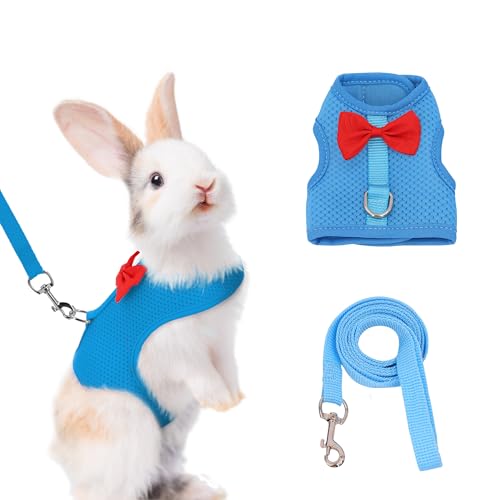 AIITLE Kaninchengeschirr und Leine Set mit süßer Schleife, weiches, atmungsaktives Netzwestengeschirr für Kaninchen, Kätzchen, Frettchen, Welpen, kleine Haustiere, Spazierzubehör, Blau, S von Aiitle