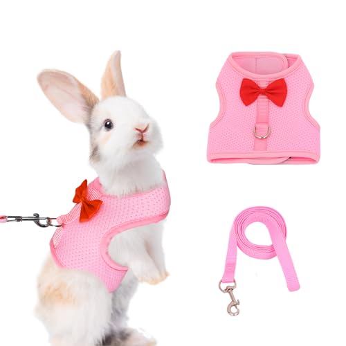 AIITLE Kaninchengeschirr und Leine Set mit süßer Schleife, weiches, atmungsaktives Netzwestengeschirr für Kaninchen, Kätzchen, Frettchen, Welpen, kleine Haustiere, Spazierzubehör, Rosa, S von Aiitle