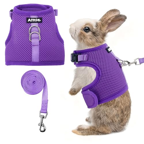 AIITLE Leichtes Escape Bunny Geschirr und Leine, Air-Mesh-Weste mit doppelten D-Ringen, verstellbar & Magic-Tape-Design, für Frettchen/Katze/Welpentraining und Wanderabenteuer, Lila, L von Aiitle