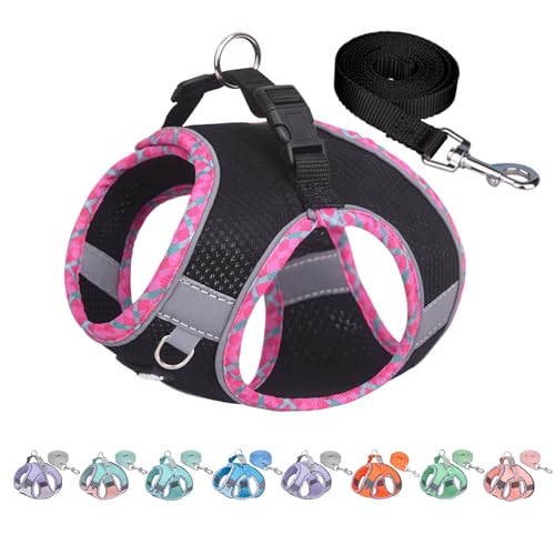 AIITLE Hundegeschirr Escape Proof, No-Pull Hundeweste mit Leine, atmungsaktives Mesh, reflektierende Streifen, einstellbare Haustier Outdoor-Geschirre Puppy Essentials für mittlere Hunde Schwarz M AIITLE Hundegeschirr Escape Proof, No-Pull Hundeweste mit Leine, atmungsaktives Mesh, reflektierende Streifen, einstellbare Haustier Outdoor-Geschirre Puppy Essentials für mittlere Hunde Schwarz M von Aiitle