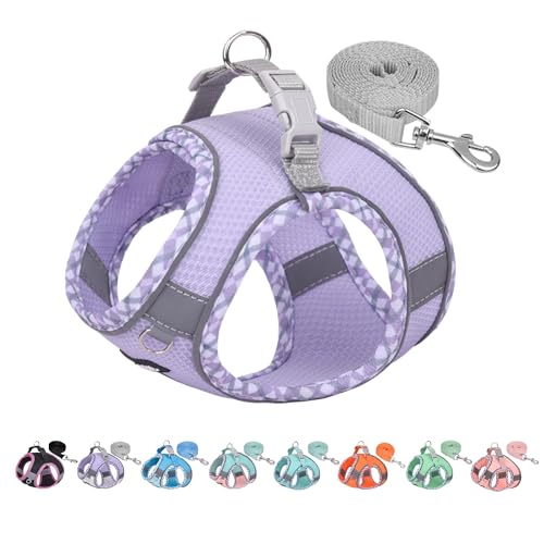 AIITLE No Pull Dog Vest Harness, All Weather Breathable Mesh, Reflective Stripes, Adjustable Escape Proof Pet Outdoor Harnesses for Medium Dogs Purple M von Aiitle