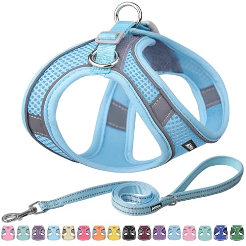 AIITLE No Pull Hundegeschirr, Step in einstellbares Hundegeschirr mit gepolsterter Weste, Hundeleine mit weichem gepolstertem Griff, leicht anzulegen für kleine und mittlere Hunde Reines Blau S AIITLE No Pull Hundegeschirr, Step in einstellbares Hundegeschirr mit gepolsterter Weste, Hundeleine mit weichem gepolstertem Griff, leicht anzulegen für kleine und mittlere Hunde Reines Blau S von Aiitle