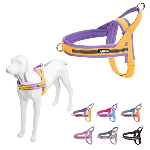 AIITLE No Pull Hundegeschirr mit weich gepolstertem Griff, Reflektorstreifen, ausbruchsicher und Schnellverschluss zum Anpassen von Geschirren für Welpen oder sehr kleine Hunde, Gelb-Lila, XXS AIITLE No Pull Hundegeschirr mit weich gepolstertem Griff, Reflektorstreifen, ausbruchsicher und Schnellverschluss zum Anpassen von Geschirren für Welpen oder sehr kleine Hunde, Gelb-Lila, XXS von Aiitle