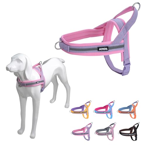 AIITLE No Pull Hundegeschirr mit weich gepolstertem Griff, Reflektorstreifen, ausbruchsicher und Schnellverschluss zum Anpassen von Geschirren für Welpen oder sehr kleine Hunde, Lila-Rosa, XXS AIITLE No Pull Hundegeschirr mit weich gepolstertem Griff, Reflektorstreifen, ausbruchsicher und Schnellverschluss zum Anpassen von Geschirren für Welpen oder sehr kleine Hunde, Lila-Rosa, XXS von Aiitle
