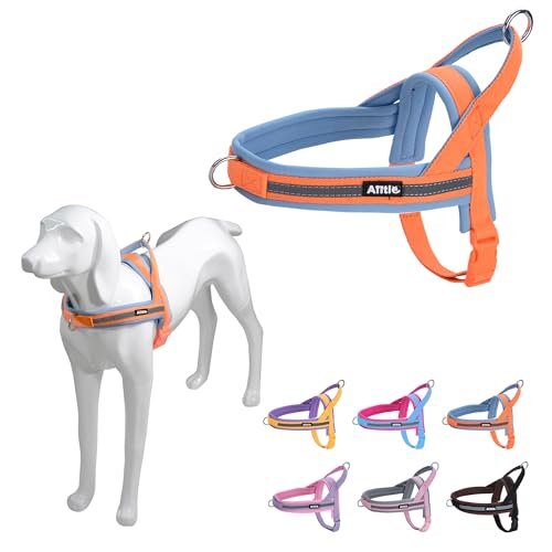 AIITLE No Pull Hundegeschirr mit weich gepolstertem Griff, Reflektorstreifen, ausbruchsicher und Schnellverschluss zum Anpassen von Geschirren für Welpen oder sehr kleine Hunde, Orange-Blau, XXS AIITLE No Pull Hundegeschirr mit weich gepolstertem Griff, Reflektorstreifen, ausbruchsicher und Schnellverschluss zum Anpassen von Geschirren für Welpen oder sehr kleine Hunde, Orange-Blau, XXS von Aiitle