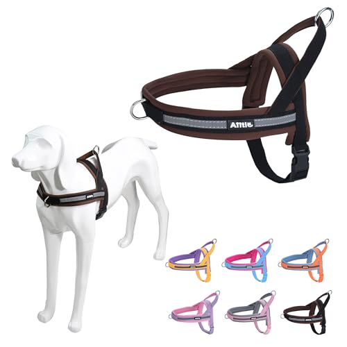AIITLE No Pull Hundegeschirr mit weich gepolstertem Griff, Reflektorstreifen, ausbruchsicher und Schnellverschluss zum Anpassen von Geschirren für Welpen oder sehr kleine Hunde, Schwarz-Braun, XXS von Aiitle