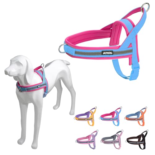 AIITLE Pet No Pull Hundegeschirr mit weicher, bequemer Polsterung, reflektierendem Hundewestengeschirr, schnell anzubringendem Hundegeschirr für mittelgroße Hunde, Blau-Knalliges Pink, M AIITLE Pet No Pull Hundegeschirr mit weicher, bequemer Polsterung, reflektierendem Hundewestengeschirr, schnell anzubringendem Hundegeschirr für mittelgroße Hunde, Blau-Knalliges Pink, M von Aiitle
