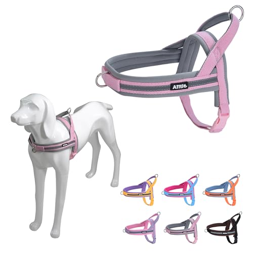 AIITLE Pet No Pull Hundegeschirr mit weicher bequemer Polsterung, ausbruchsicheres taktisches Hundewestengeschirr, schnell anzubringendes Hundewestengeschirr für mittelgroße Hunde, Rosa-Grau, M AIITLE Pet No Pull Hundegeschirr mit weicher bequemer Polsterung, ausbruchsicheres taktisches Hundewestengeschirr, schnell anzubringendes Hundewestengeschirr für mittelgroße Hunde, Rosa-Grau, M von Aiitle