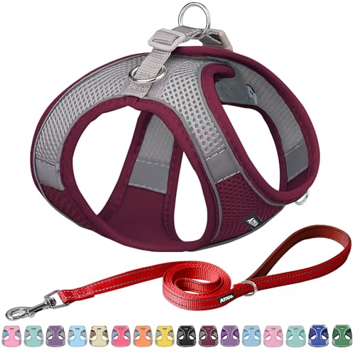 AIITLE No Pull Hundegeschirr, Step in einstellbares Hundegeschirr mit gepolsterter Weste, Hundeleine mit weichem gepolstertem Griff, leicht anzulegen für kleine und mittlere Hunde Burgund S AIITLE No Pull Hundegeschirr, Step in einstellbares Hundegeschirr mit gepolsterter Weste, Hundeleine mit weichem gepolstertem Griff, leicht anzulegen für kleine und mittlere Hunde Burgund S von Aiitle