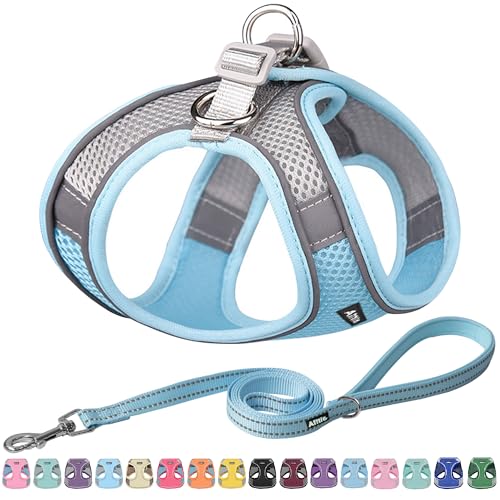 AIITLE No Pull Hundegeschirr, Step in einstellbares Hundegeschirr mit gepolsterter Weste, Hundeleine mit weichem gepolstertem Griff, leicht anzulegen für kleine und mittlere Hunde Blau S AIITLE No Pull Hundegeschirr, Step in einstellbares Hundegeschirr mit gepolsterter Weste, Hundeleine mit weichem gepolstertem Griff, leicht anzulegen für kleine und mittlere Hunde Blau S von Aiitle