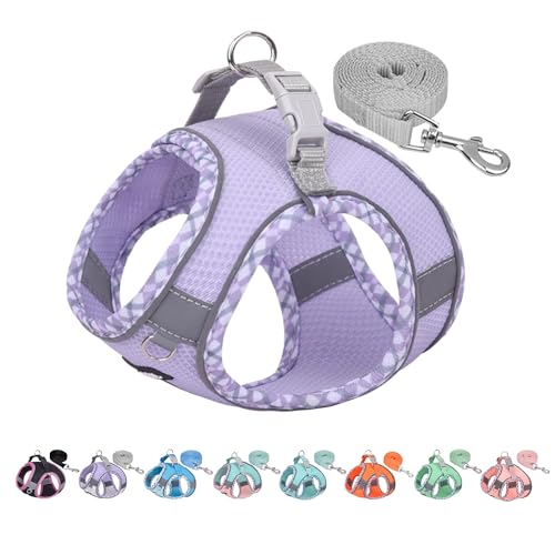 AIITLE No Pull Hundegeschirr und Leine Set, Schritt in einstellbaren Hundegeschirr mit gepolsterter Weste für alle Wetter, reflektierende Haustiergeschirr, einfach auf kleine Hunde setzen Lila S AIITLE No Pull Hundegeschirr und Leine Set, Schritt in einstellbaren Hundegeschirr mit gepolsterter Weste für alle Wetter, reflektierende Haustiergeschirr, einfach auf kleine Hunde setzen Lila S von Aiitle