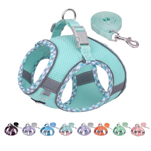 AIITLE No Pull Hundegeschirr und Leine Set, Schritt in einstellbaren Hundegeschirr mit gepolsterter Weste für alle Wetter, reflektierende Haustiergeschirr, einfach auf kleine Hunde setzen Türkis S AIITLE No Pull Hundegeschirr und Leine Set, Schritt in einstellbaren Hundegeschirr mit gepolsterter Weste für alle Wetter, reflektierende Haustiergeschirr, einfach auf kleine Hunde setzen Türkis S von Aiitle