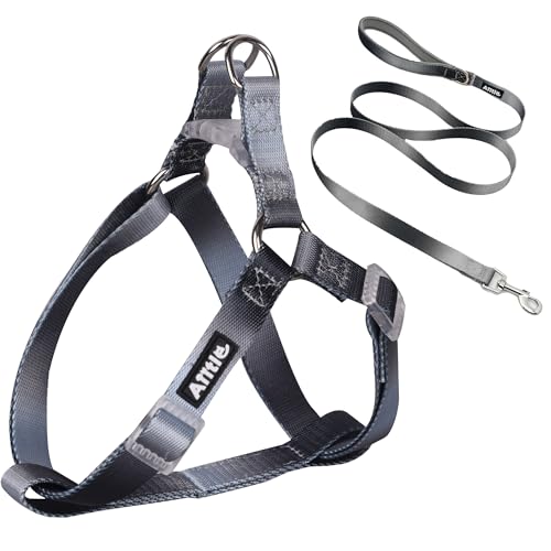 AIITLE Step-In Hundegeschirr und Leine, verstellbares Halfter mit 1,5 m Leine, doppelter D-Ring, einfaches Spazierengehen, Lauftraining für große Rassen, Schwarz-Grau, Farbverlauf, Größe L AIITLE Step-In Hundegeschirr und Leine, verstellbares Halfter mit 1,5 m Leine, doppelter D-Ring, einfaches Spazierengehen, Lauftraining für große Rassen, Schwarz-Grau, Farbverlauf, Größe L von Aiitle
