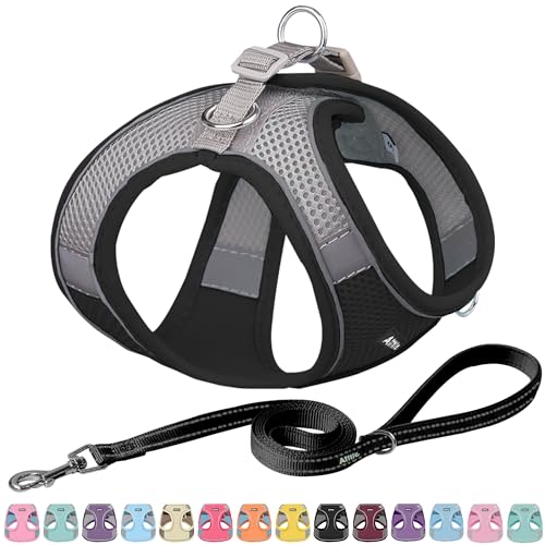 AIITLE Step in Dog Harness and Leash Set - No Pull Escape Proof Vest Harness with Soft Mesh and Reflective Bands, Adjustable Pet Outdoor Harnesses for Small and Medium Dogs Black M von Aiitle