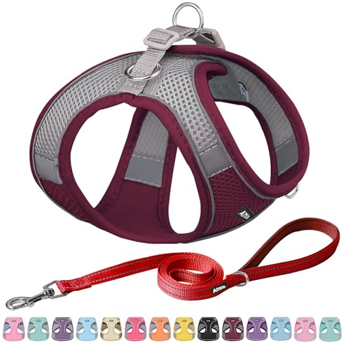 AIITLE Step in Dog Harness and Leash Set - No Pull Escape Proof Vest Harness with Soft Mesh and Reflective Bands, Adjustable Pet Outdoor Harnesses for Small and Medium Dogs Burgundy M von Aiitle