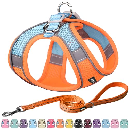 AIITLE Step in Dog Harness and Leash Set - No Pull Escape Proof Vest Harness with Soft Mesh and Reflective Bands, Adjustable Pet Outdoor Harnesses for Small and Medium Dogs Orange M von Aiitle