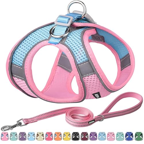 AIITLE Hundegeschirr und Leine-Set ? kein Ziehen, ausbruchsicheres Westengeschirr mit weichem Mesh und reflektierenden B?ndern, verstellbares Outdoor-Geschirr f?r kleine und mittelgro?e Hunde, Rosa, M von Aiitle