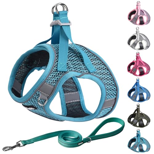 AIITLE Step in Hundegeschirr und Leine, Set zum Spazierengehen, verstellbares Hundegeschirr mit gepolsterter Weste für jedes Wetter, reflektierend, verstellbares Haustiergeschirr, leicht anzuziehen, AIITLE Step in Hundegeschirr und Leine, Set zum Spazierengehen, verstellbares Hundegeschirr mit gepolsterter Weste für jedes Wetter, reflektierend, verstellbares Haustiergeschirr, leicht anzuziehen, von Aiitle