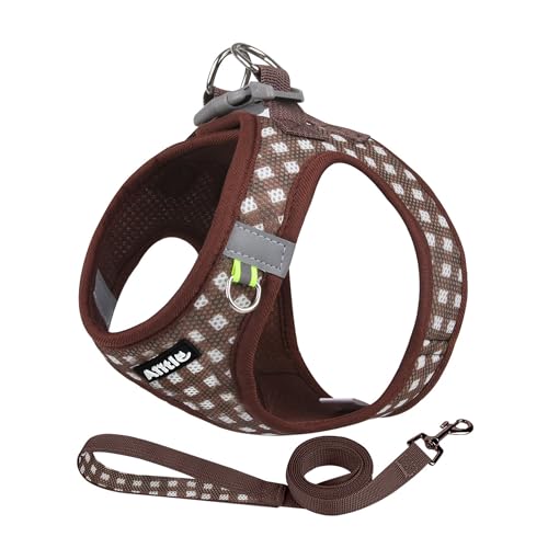 AIITLE Atmungsaktives Hundegeschirr aus Netzstoff, No-Pull-Westengeschirre mit reflektierenden Bändern, verstellbare Haustier-Outdoor-Geschirre für kleine und mittelgroße Hunde, Schokolade, M AIITLE Atmungsaktives Hundegeschirr aus Netzstoff, No-Pull-Westengeschirre mit reflektierenden Bändern, verstellbare Haustier-Outdoor-Geschirre für kleine und mittelgroße Hunde, Schokolade, M von Aiitle