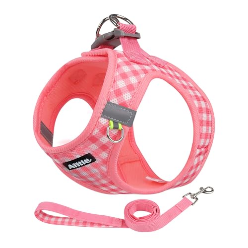 AIITLE Atmungsaktives Hundegeschirr aus Netzstoff, No-Pull-Westengeschirre mit reflektierenden Bändern, verstellbare Haustier-Outdoor-Geschirre für kleine und mittelgroße Hunde, Wassermelone, M AIITLE Atmungsaktives Hundegeschirr aus Netzstoff, No-Pull-Westengeschirre mit reflektierenden Bändern, verstellbare Haustier-Outdoor-Geschirre für kleine und mittelgroße Hunde, Wassermelone, M von Aiitle