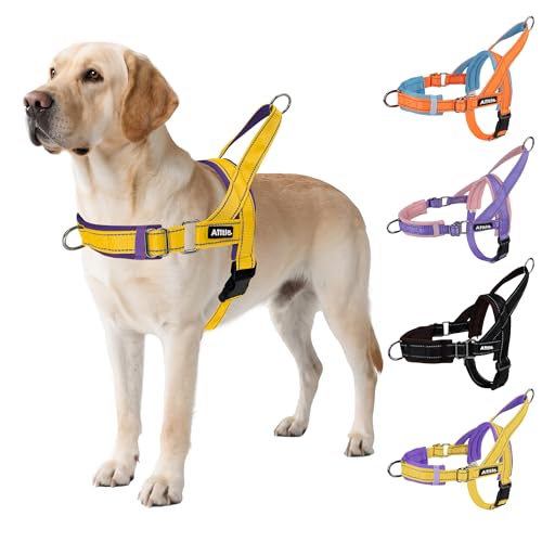 AIITLE Taktisches Hundegeschirr, ausbruchsicher, für Hals und Brust, verstellbar, kein Ziehen, mit weich gepolstertem Griff, einfach für Training, Spazierengehen, Laufen für große Hunde, Gelb-Lila von Aiitle