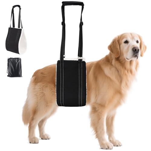 AIITLE Verbesserte Hundetrageschlinge zur Unterstützung der Hinterbeine – verstellbares, reflektierendes Design mit Dicker Plüschpolsterung, ideal für ältere/arthritische Hunde (Schwarz, L) von Aiitle