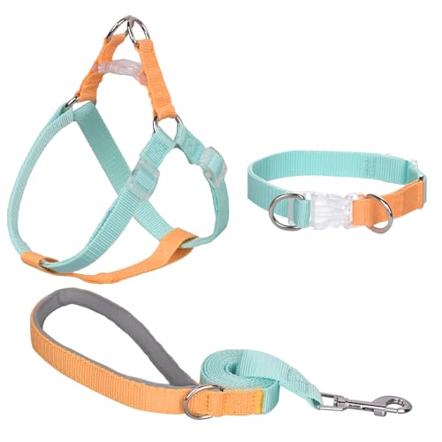 AIITLE Verbessertes Easy Walk Hundehalftergeschirr - No Pull Hundegeschirr Halsband Leinen Set mit gepolstertem Griff - No Choke Haustiergeschirr für kleine Hunde Grün-Gelb S von Aiitle