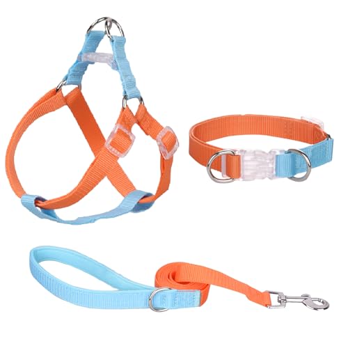 AIITLE Verbessertes Easy Walk Hundehalftergeschirr - No Pull Hundegeschirr Halsband Leinen Set mit gepolstertem Griff - No Choke Haustiergeschirr für kleine Hunde Orange-Blau S von Aiitle