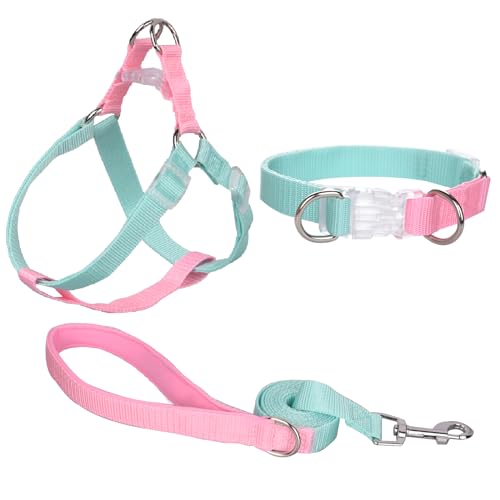 AIITLE Verbessertes No-Pull-Hundehalftergeschirr-Halsband-Leinen-Set – Step-in-Hundehalftergeschirr – Einfache Kontrolle beim Spazierengehen – Spazierengehen für große Hunde, Grün-Rosa, L von Aiitle