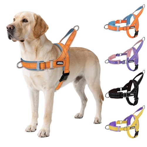 AIITLE Verbessertes verstellbares Hundegeschirr mit weich bequem gepolstertem, ausbruchsicherem, taktischem Hundegeschirr, reflektierendes, leichtes Geschirr für mittelgroße Hunde, Orange-Blau, Größe von Aiitle