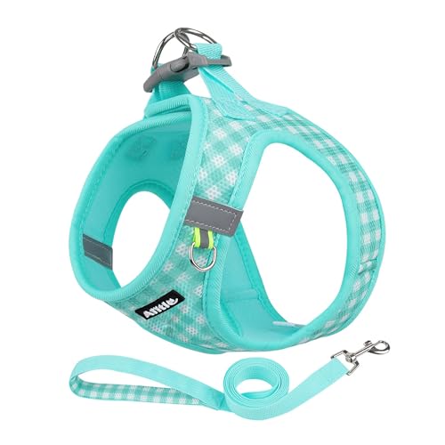 AIITLE Verstellbares Hundegeschirr und Leinen-Set, weiches Netzgewebe, reflektierendes Karomuster, Geschirre für kleine Hunde, Welpen und Hauskatzen, zum Spazierengehen im Freien, Türkis, XS AIITLE Verstellbares Hundegeschirr und Leinen-Set, weiches Netzgewebe, reflektierendes Karomuster, Geschirre für kleine Hunde, Welpen und Hauskatzen, zum Spazierengehen im Freien, Türkis, XS von Aiitle