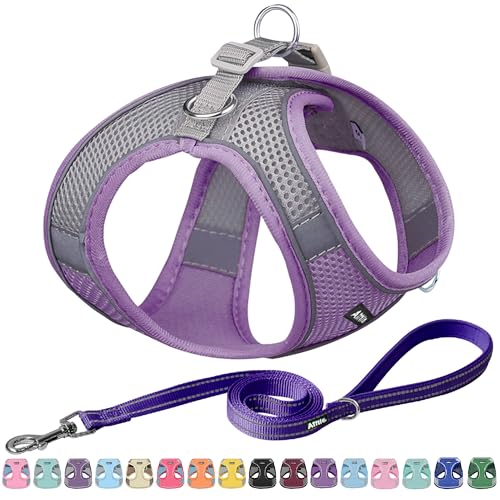 AIITLE Escape Proof Hundegeschirr - Schritt in einstellbaren Hundegeschirr No Choke Over mit atmungsaktivem Mesh und Quick-Release-Schnalle - Outdoor Walking, Training für mittlere Hunde Lila XL AIITLE Escape Proof Hundegeschirr - Schritt in einstellbaren Hundegeschirr No Choke Over mit atmungsaktivem Mesh und Quick-Release-Schnalle - Outdoor Walking, Training für mittlere Hunde Lila XL von Aiitle