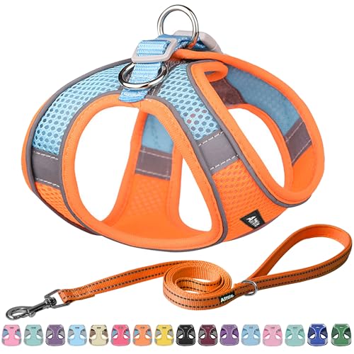 AIITLE Escape Proof Hundegeschirr - Step in einstellbares Hundegeschirr ohne Würgeeffekt mit atmungsaktivem Mesh und Schnellverschluss - Outdoor Walking, Training für mittlere Hunde Orange XL AIITLE Escape Proof Hundegeschirr - Step in einstellbares Hundegeschirr ohne Würgeeffekt mit atmungsaktivem Mesh und Schnellverschluss - Outdoor Walking, Training für mittlere Hunde Orange XL von Aiitle
