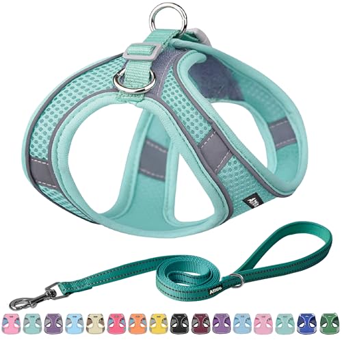 AIITLE Bequemes Hundegeschirr und Leine Set zum Gassi gehen - Step in Vest Harness, Reflektierende Bänder, Einstellbare No Pull Puppy Essentials, für kleine Hunde und Hauskatzen Reines Türkis XS AIITLE Bequemes Hundegeschirr und Leine Set zum Gassi gehen - Step in Vest Harness, Reflektierende Bänder, Einstellbare No Pull Puppy Essentials, für kleine Hunde und Hauskatzen Reines Türkis XS von Aiitle