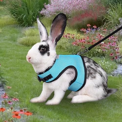 Ailan Bequeme und leichte Kaninchengeschirr Leine, breite Anwendung, mehrere Farben erhältlich, angenehm zu tragen, Grau L von Ailan