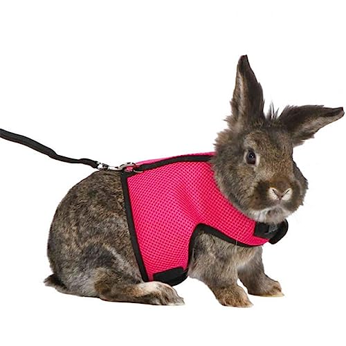 Ailan Nylon Weste Typ Kragen Pet Brustgurt Outdoor Walking Wandern Kleintiere Geschirr Leine Zugseil Haustierbedarf, Rosenrot, L Ailan Nylon Weste Typ Kragen Pet Brustgurt Outdoor Walking Wandern Kleintiere Geschirr Leine Zugseil Haustierbedarf, Rosenrot, L von Ailan