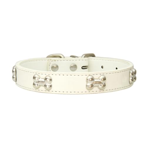 Ailan Stilvolles und langlebiges Halsband für Hunde und Katzen, bequemes Tragen, garantiert, verstellbare Schnallen, PU Katzenhalsband, Hundehalsband, Weiß, 2.0 * 40cm von Ailan