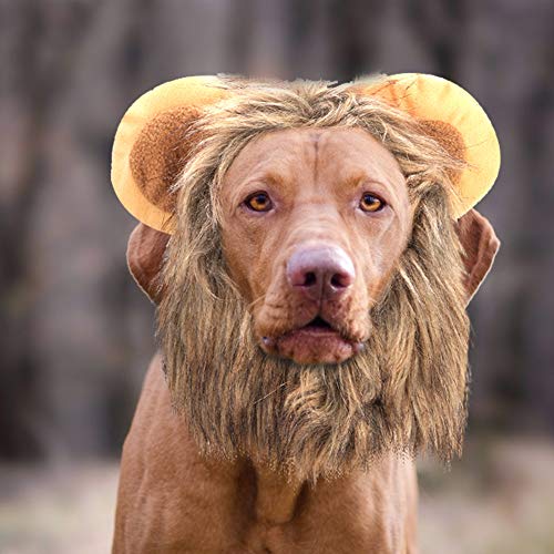 Ailgely Süßes Haustier, Katze, Hund, Löwe, Perücke, Hut, Kostüm, Lustiges Kostüm für Cosplay-Partyfotos Ailgely Süßes Haustier, Katze, Hund, Löwe, Perücke, Hut, Kostüm, Lustiges Kostüm für Cosplay-Partyfotos von Ailgely