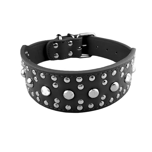 AiliStar Hundehalsband mit Pilznägeln, schützt den Hals des Hundes vor dem Beißen von Pilzen, Nagelnieten, 5,1 cm breit, Haustierhalsband, Schwarz, Größe M von AiliStar