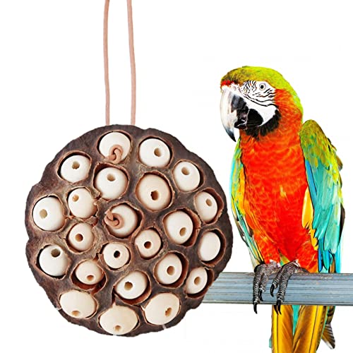 Ailopta Spielzeug für die Vogelsuche,Getrocknetes Lotus Pod Parrot Zahnungsspielzeug | African Grey Parrot Toys Natürliches Vogelzahnspielzeug für kleine und mittelgroße Aras von Ailopta