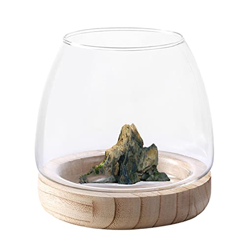 Hydrokulturvase mit Holzständer | Fischglasvase aus transparentem Glas mit Holzständer - Fish Bowl Ästhetische Heimdekoration, ökologisches Aquarium für Wohnzimmer, Badezimmer, Abendessen Ailopta von Ailopta