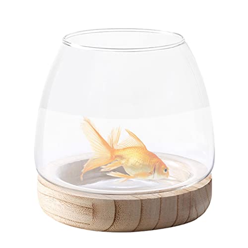 Hydroponisches Pflanzenterrarium,Klares Vase Aquarium mit Holzsockel | Vase für Blumen, Glasvase, Fischschale, hydroponische Pflanzenvase für Herzstück als Heimdekoration Ailopta Hydroponisches Pflanzenterrarium,Klares Vase Aquarium mit Holzsockel | Vase für Blumen, Glasvase, Fischschale, hydroponische Pflanzenvase für Herzstück als Heimdekoration Ailopta von Ailopta