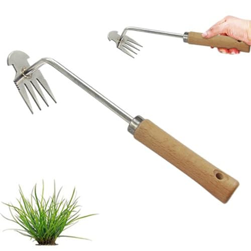 Ailovone UnkrautjäTer Unkrautentferner mit stiel Gartenarbeit Hand Unkrautstecher Unkraut Entferner Gerät Fugenkratzer Unkraut Entwurzelung Jäten Werkzeug (A2) von Ailovone