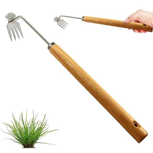 Ailovone UnkrautjäTer Unkrautentferner mit stiel Gartenarbeit Hand Unkrautstecher Unkraut Entferner Gerät Fugenkratzer Unkraut Entwurzelung Jäten Werkzeug (A3) von Ailovone