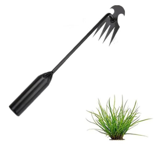 Ailovone UnkrautjäTer Unkrautentferner mit stiel Gartenarbeit Hand Unkrautstecher Unkraut Entferner Gerät Fugenkratzer Unkraut Entwurzelung Jäten Werkzeug (A6) von Ailovone