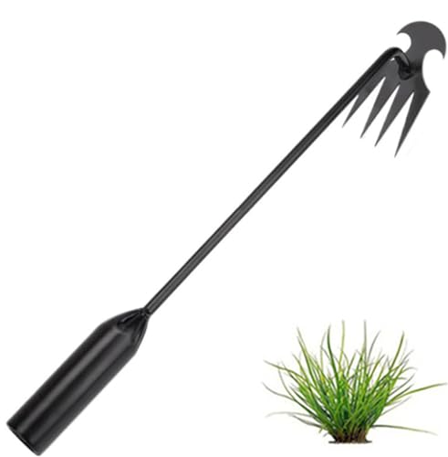 Ailovone UnkrautjäTer Unkrautentferner mit stiel Gartenarbeit Hand Unkrautstecher Unkraut Entferner Gerät Fugenkratzer Unkraut Entwurzelung Jäten Werkzeug (A7) von Ailovone