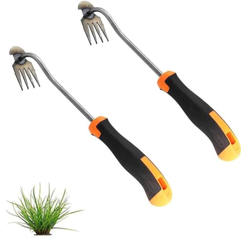 Ailovone Unkrautjäter Unkrautstecher 2 Stück Edelstahl Unkrautstecher Gartengeräte Garten Schaufel Fugenkratzer Mit Stiel UnkrautjäTer Unkraut Entferner Gerät für Garten Jäten (B1) von Ailovone
