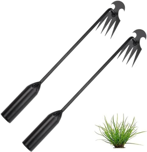 Ailovone Unkrautjäter Unkrautstecher 2 Stück Edelstahl Unkrautstecher Gartengeräte Garten Schaufel Fugenkratzer Mit Stiel UnkrautjäTer Unkraut Entferner Gerät für Garten Jäten (B3) von Ailovone