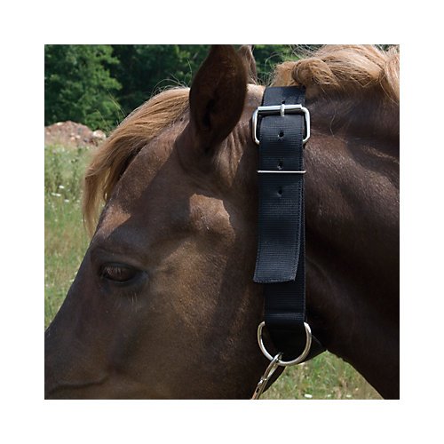 Aime Imports Basic Picket Line Neck Collar von Aime Imports
