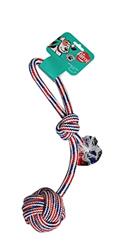 Aimé Spielseil für Hunde Lance, 37 cm von Aime